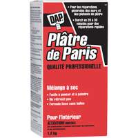 M&eacute;lange sec de pl&acirc;tre de Paris, 2 kg, Boîte Southpoint Industrial Supply