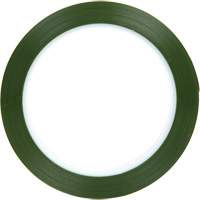 Ruban en polyester, Polyester, 25,4 mm (1") la x 66 m (216') lo, 1,9 mils &eacute;pais Southpoint Industrial Supply