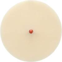 Disque Scotch-Brite 7502 pour retrait de colle et de bandes de moulage, 6" dia. Southpoint Industrial Supply