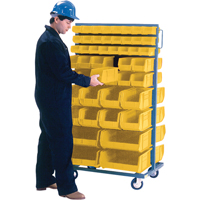 Double-Sided Mobile Bin Rack, Double-sided, 96 bins, 36" W x 24" D x 63" H Southpoint Industrial Supply