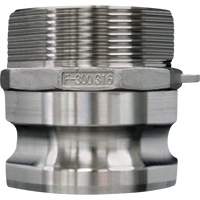 Accouplement &agrave; came et rainure, Acier inoxydable, Type F, 3/4", NPT m&acirc;le, 250 PSI Southpoint Industrial Supply