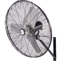 Outdoor Oscillating Wall Fan, Industrial, 30" Dia., 3 Speeds EB115 | Southpoint Industrial Supply