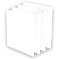 Pr&eacute;-filtres AeraMax Pro AM3 ou AM4, 13,75" la x 0,13" p x 14,38" h Southpoint Industrial Supply