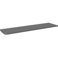 Cabinet Shelf, 59-3/4" x 16-3/8", 500 lbs. Capacity, Grey Southpoint Industrial Supply