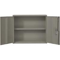 Wall Mounted Cabinet, Steel, 2 Shelves, 30" H x 36" W x 12" D, Grey Southpoint Industrial Supply
