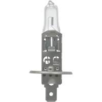 64155 Basic Automotive Bulb, Halogen, 78 W, Off White Southpoint Industrial Supply