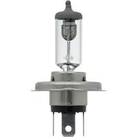 9003 Ampoule de base pour feu avant, Halog&egrave;ne, 61 W/67 W, Blanc cass&eacute; Southpoint Industrial Supply