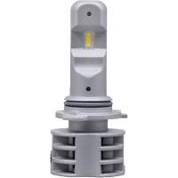 9006 Ampoule pour feu avant, DEL, 13,2 W/17 W, Blanc Southpoint Industrial Supply
