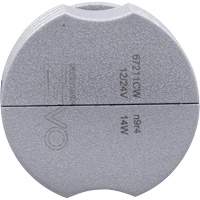 Ampoule pour feu avant H11, DEL, 13,2 W/17 W, Blanc Southpoint Industrial Supply