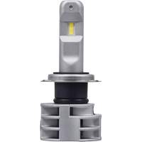 Ampoule pour feu avant H7, DEL, 13,2 W/17 W, Blanc Southpoint Industrial Supply
