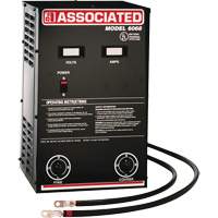 Chargeur de batterie parall&egrave;le &agrave; haute performance Southpoint Industrial Supply