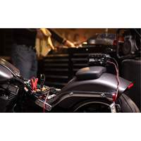 Genius&reg; 10 10-Amp Battery Charger Southpoint Industrial Supply