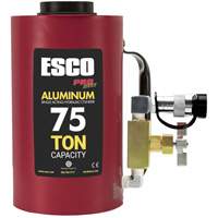 Heavy-Duty Hydraulic Cylinder, 6" Stroke, 75 Ton(s) Capacity, 10000 PSI Southpoint Industrial Supply