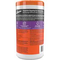 Cleaning Wipes Southpoint Industrial Supply