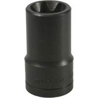 E-20 Torx&reg; Socket Southpoint Industrial Supply