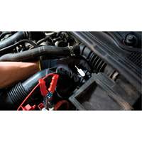 Pompette de purge de frein Brake-Pro &agrave; structure haute avec adaptateurs Southpoint Industrial Supply