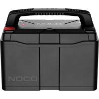 Group 31 120Ah Lithium-Ion LiFePO4 Dual-Purpose Battery Southpoint Industrial Supply