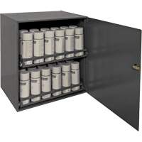 Aerosol Storage Cabinet, Steel, 21-7/8" H x 15-15/16" W x 20-5/16" D, Grey Southpoint Industrial Supply