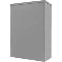 Counter-High Storage Cabinet, Steel, 2 Shelves, 42" H x 30" W x 15" D, Grey Southpoint Industrial Supply