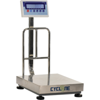 Balance &agrave; plateforme et d'&eacute;tabli Cyclone 150, Capacit&eacute; de 300 lb / 150 kg, 15-3/4" lo x 19-7/10" la Southpoint Industrial Supply