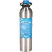 Calibration Testing Gas Cylinder, 1 Gas Mix, H2S, 58 Litres HZ397 | Southpoint Industrial Supply