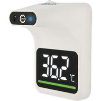 Non Contact Thermometer, Digital Southpoint Industrial Supply