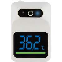 Non Contact Thermometer, Digital Southpoint Industrial Supply