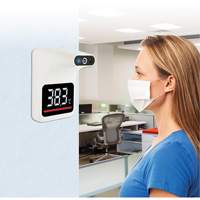 Non Contact Thermometer, Digital Southpoint Industrial Supply