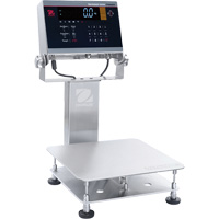 Defender 6000 Washdown Bench Scale, 25 lbs. Capacity, 11-4/5" L x 11-4/5" W Southpoint Industrial Supply