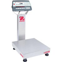 Defender 5000 Multi-Functional Bench Scale, 25  lbs. Capacity, 14" L x 12" W Southpoint Industrial Supply