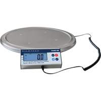 Keg Weighing Scale, 200 kg Capacity Southpoint Industrial Supply