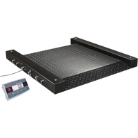 Defender 2500 Drum Scale, 2500 lbs. Capacity, 2.5' L x 2.5' W Southpoint Industrial Supply
