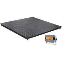 DEFENDER 3000 Floor Scale, 2500 lbs. Capacity, 48" W x 48" L Southpoint Industrial Supply