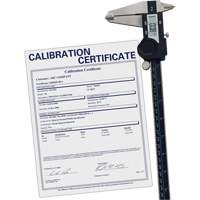 Digital Caliper with Traceable Certificate, 0.0005" (0.01 mm) Resolution, 0" - 12" (0 mm - 300 mm) Range Southpoint Industrial Supply