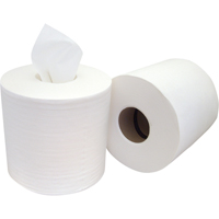 Chiffons &agrave; distribution par le centre Pro Tuff-Job, Sp&eacute;cialis&eacute;, 400' lo x 8" la Southpoint Industrial Supply