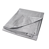 Tarp, Super Heavy-Duty, Silver, 10' x 8' x 12 mils Southpoint Industrial Supply