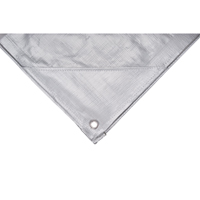 Tarp, Super Heavy-Duty, Silver, 10' x 8' x 12 mils Southpoint Industrial Supply
