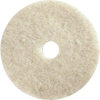 Tampons pour l'entretien des planchers, 21", Brunissage, Brun Southpoint Industrial Supply