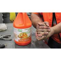 Nettoyant pour les mains &agrave; l'orange, Pierre ponce, 3,6 L, Cruche, Orange Southpoint Industrial Supply