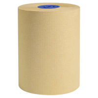 Pro Perform Hand Towel, 1 Ply, Standard, 600' L Southpoint Industrial Supply