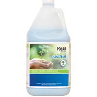 Nettoyant pour salle de bain Polar, 4 L, Cruche Southpoint Industrial Supply