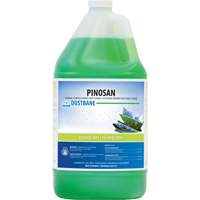 Nettoyant d&eacute;sinfectant d'usage g&eacute;n&eacute;ral Pinosan, 5 L, Cruche Southpoint Industrial Supply