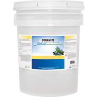 D&eacute;graissant & d&eacute;capant inodore Dynamite, 20 L, Seau Southpoint Industrial Supply