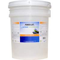 D&eacute;graissant industriel Power Lift, 20 L, Seau Southpoint Industrial Supply