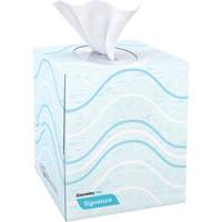 Pro Signature Facial Tissue, 2 Ply, 8" L x 8" W, 90 Sheets/Box Southpoint Industrial Supply