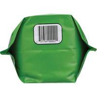 Biodegradable Hand Cleaner, Powder, 4.5 lbs., Packet, Unscented Southpoint Industrial Supply