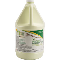 Nettoyant d&eacute;sinfectant concentr&eacute; SaniBlend 66, 4 L, Cruche Southpoint Industrial Supply