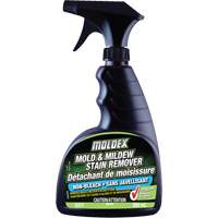 D&eacute;tachant de moisissure sans javellisant, 650 ml, Bouteille &agrave; g&acirc;chette Southpoint Industrial Supply