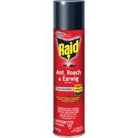Insecticide contre fourmis, coquerelles et perce-oreilles Raid, 350 g, &agrave; base de solvant Southpoint Industrial Supply