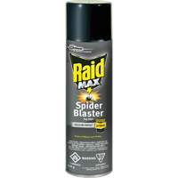 Raid<sup>®</sup> Max<sup>®</sup> Spider Blaster Bug Killer Insecticide, 500 g, Aerosol Can, Solvent Base JM270 | Southpoint Industrial Supply